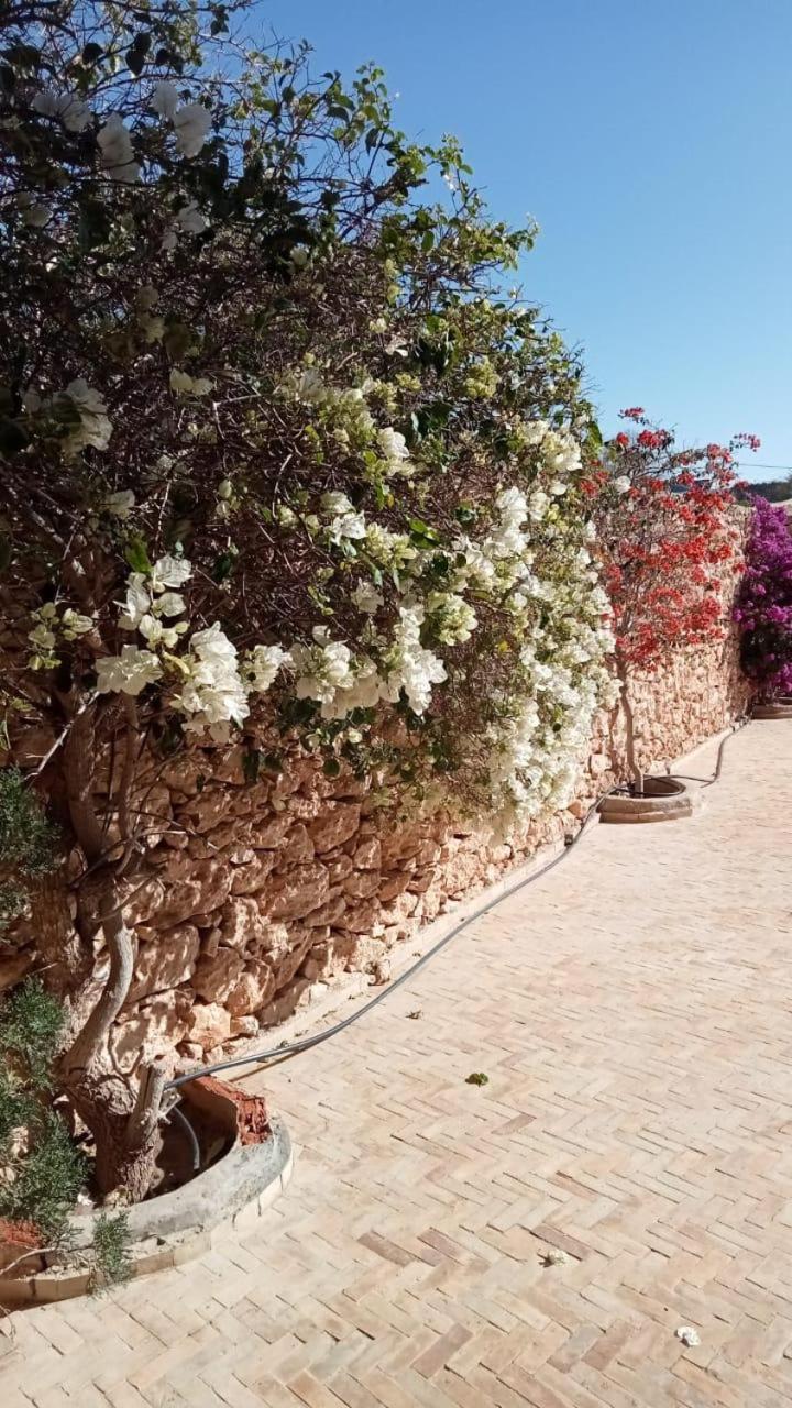 Villa De Campagne Essaouira Exterior photo